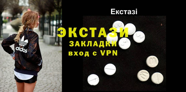 хмурый Аркадак