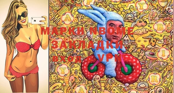 хмурый Аркадак