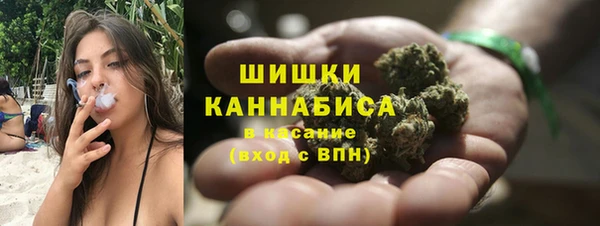 хмурый Аркадак