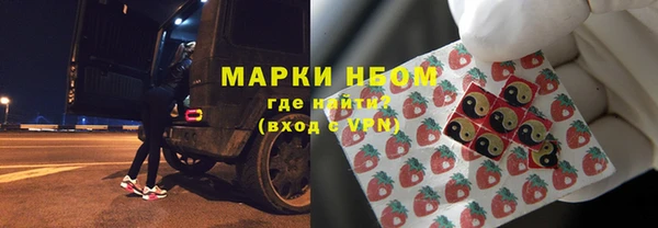 хмурый Аркадак