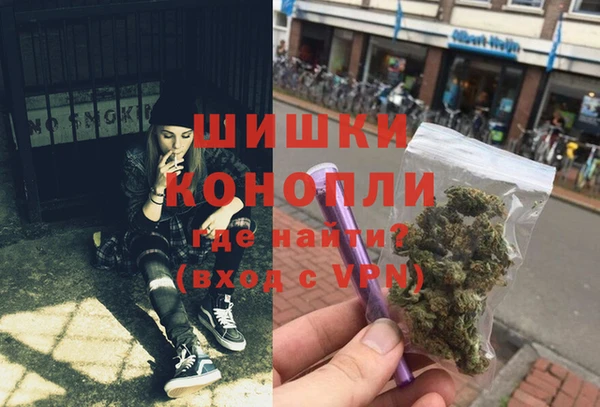 хмурый Аркадак