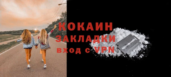 соль ск Арсеньев