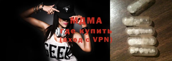 хмурый Аркадак