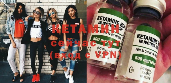 хмурый Аркадак