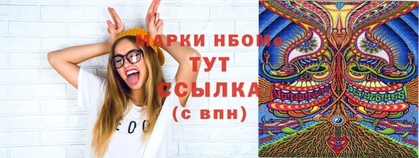 хмурый Аркадак