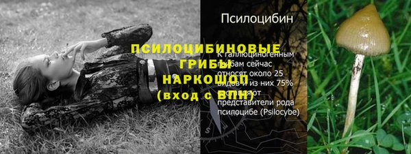 крисы Армянск