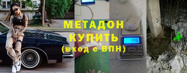 хмурый Аркадак
