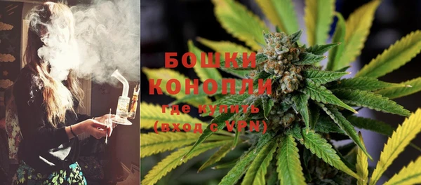 крисы Армянск