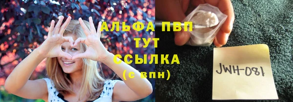хмурый Аркадак