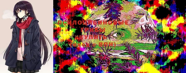 крисы Армянск